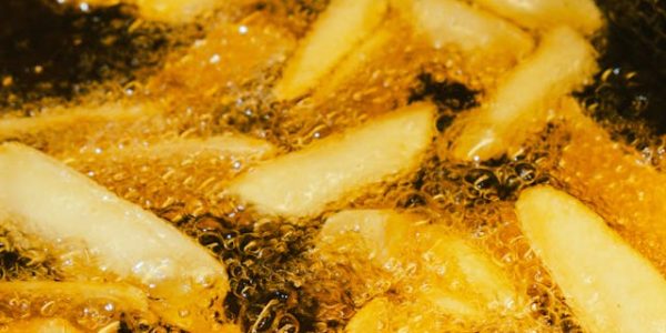 alat penggorengan deep fryer