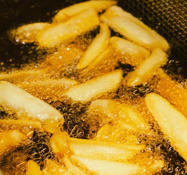 alat penggorengan deep fryer